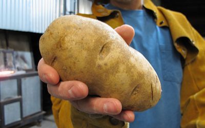 Potato in Glass
